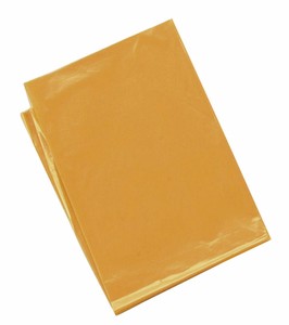 アーテック 橙 カラービニール袋(10枚組) 045538