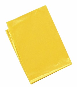 アーテック 黄 カラービニール袋(10枚組) 045532