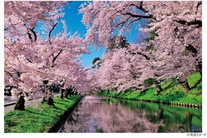 ジグソーパズル 1000ピース 風景 桜雲の弘前公園(青森) 10-1455