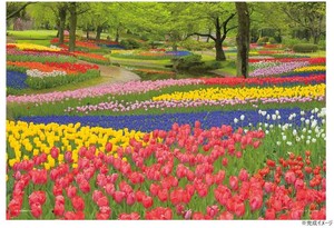 ジグソーパズル 108ピース 風景 花咲く昭和記念公園(東京) 01-2090