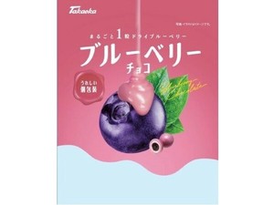 【クール便対象】高岡食品工業 ブルーベリーチョコ 90g x12 【チョコ】
