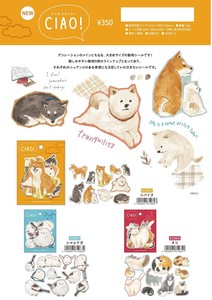 剪贴簿装饰品 MIND WAVE ciao