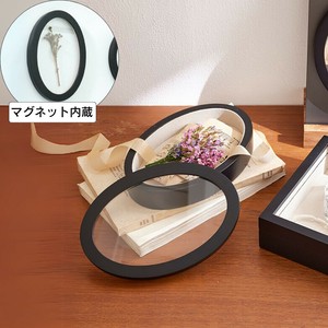 コレクションケース オーバル(楕円)／マグネット シャドウボックス