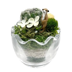光触媒 エッグマン ミーアキャット 動物 人形 たまご 造花 フェイクグリーン インテリア 贈り物 置物