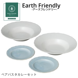 Mino ware Main Plate Gift Set earth Made in Japan