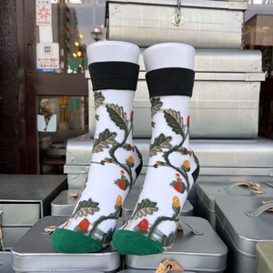 TOPANGA SOCKS Lady's　シアーソックス　少年と木の実　ファッション　レディース　靴下　ユニーク