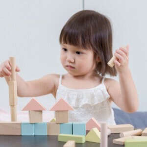 ユニットブロック40パステル【木製玩具/知育玩具/積み木/対象月齢0ヶ月以上】