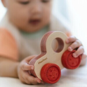ティンバー　トレイル　クルーザー【木製玩具/知育玩具/木のおもちゃ/対象月齢6ヶ月以上】