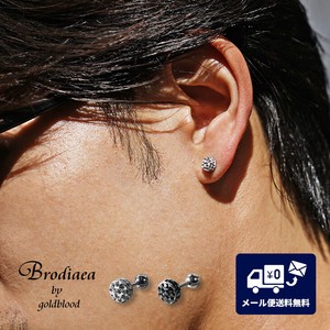 Pierced Earrings Rhinestone Stainless Steel