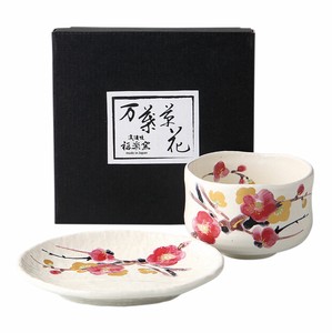 Mino ware Barware Gift Japanese Plum Made in Japan