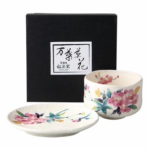Mino ware Barware Gift Cherry Blossoms Made in Japan