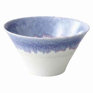 Mino ware Main Dish Bowl Gift Fuji Made in Japan