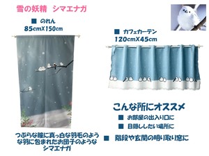Lace Curtain Shimaenaga