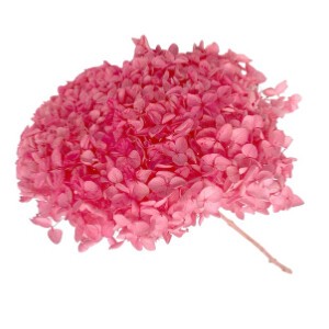 アナベルアジサイ （ステム付） リップピンク プリザーブドフラワー あじさい 花材