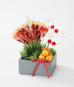 お正月【受注生産品】Japanese traditional New Year style for 2025 多肉植物の正月飾り