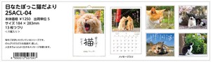 【予約品】日なたぼっこ猫だより 2025年 壁掛けカレンダー《 6/23(日) 予約〆切り》
