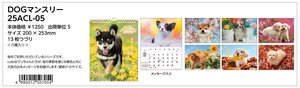 【予約品】DOGマンスリー 2025年 壁掛けカレンダー《 6/23(日) 予約〆切り》