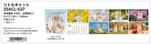 【予約品】リトルキャット 2025年 卓上カレンダー《 6/23(日) 予約〆切り》