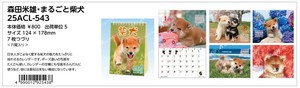 【予約品】森田米雄 まるごと柴犬 2025年 卓上カレンダー《 6/23(日) 予約〆切り》