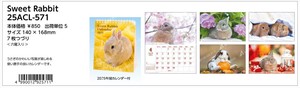 【予約品】Sweet Rabbit 2025年 卓上カレンダー《 6/23(日) 予約〆切り》