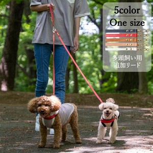 Dog/Cat Leash Made in Japan