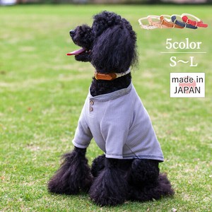 Dog Collar Made in Japan