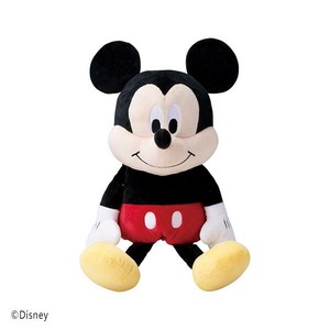 ミッキーマウス　DR　H-481　00481000