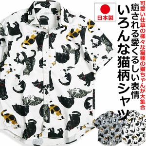 衬衫 三色猫 黑猫 男士 猫咪图案 日本国内产 日本制造