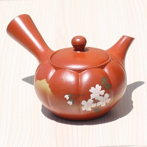 Tokoname ware Japanese Teapot