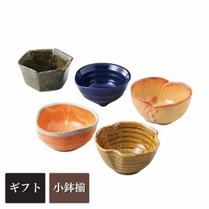 ギフト[箱入り] 美味亭珍味五彩　小鉢揃 美濃焼 日本製