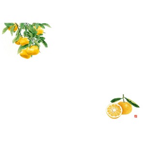 尺3 テーブルマット(100枚入)