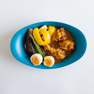 VETLER 日本製 カレー 皿 食洗機 電子レンジ 対応 キャンプ 軽い レトロ ﾌﾟﾗｽﾁｯｸ