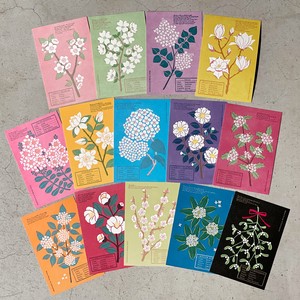 活版印刷 White Flower Postcard Set