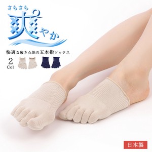 预购 隐形袜/船袜 新款 2024年 日本制造