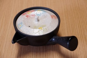 Hasami ware Japanese Teapot Flower White Pottery Tea Pot Made in Japan