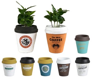 コーヒーの木★カフェポット植え（5-8色AST）