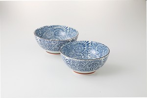 Main Plate