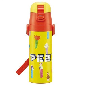 Water Bottle One-push Direct Skater Stainless Steel Bottle