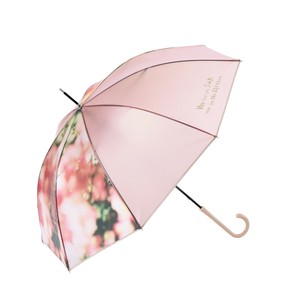 雨伞 2024年 秋冬新品 透明