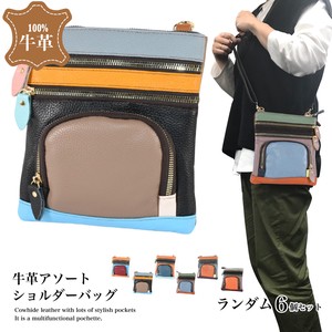 Shoulder Bag Shoulder Large Capacity Genuine Leather Ladies' Small Case
