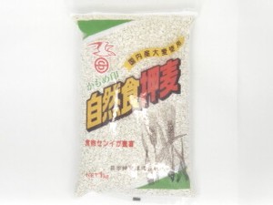 日本精麦 かもめ 押麦 1Kgx10【乾物】