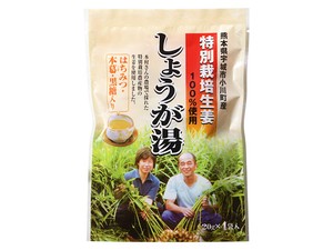 イトク食品　特別栽培　しょうが湯　20gx4Px120【お茶】