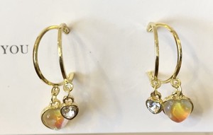 Pierced Earrings Resin Post Design