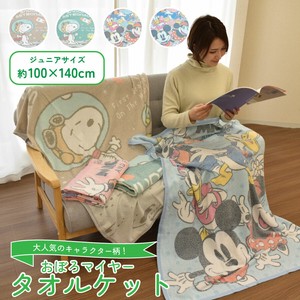 Summer Blanket Character Single 100 x 140cm