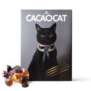 CACAOCAT ミックス 28個入り　チョコレート　ねこギフト