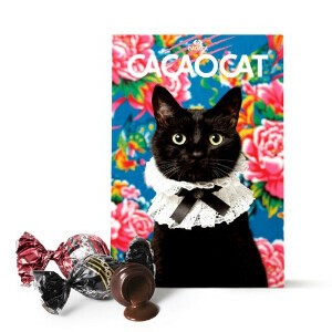 【数量限定！】CACAOCAT 6個入り BLOOM　チョコレート　ねこギフト