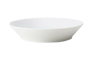 Mino ware Main Plate White Western Tableware 22cm Made in Japan