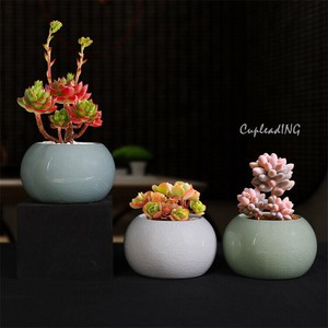 【2024新作】激安セール 鉢植え 多肉植物鉢 植木鉢 花瓶