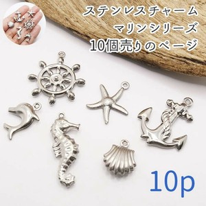 材料/零件 不锈钢 10个