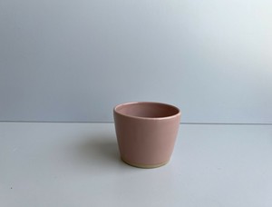 Seto ware Main Plate Peach Made in Japan
